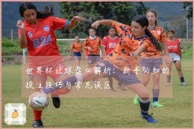 世界杯让球盘口解析：新手必知的投注技巧与常见误区
