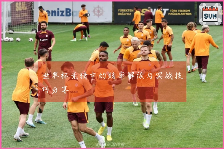 世界杯竞猜中的赔率解读与实战技巧分享