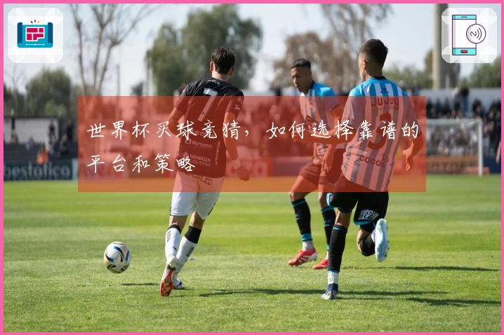 世界杯买球竞猜，如何选择靠谱的平台和策略