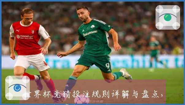 世界杯竞猜投注规则详解与盘点，让你轻松掌握投注技巧