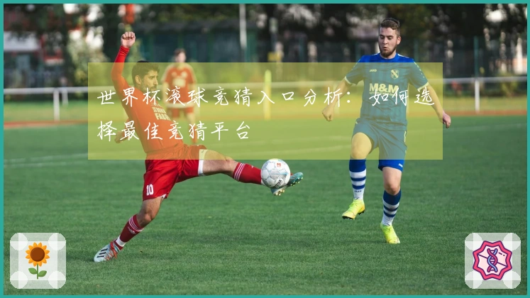 世界杯滚球竞猜入口分析：如何选择最佳竞猜平台
