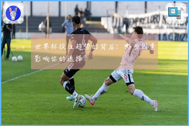 世界杯投注趋势的背后：哪些因素影响你的选择？