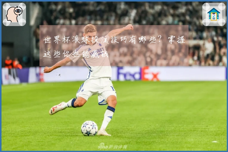 世界杯滚球投注技巧有哪些？掌握这些你也能赢钱