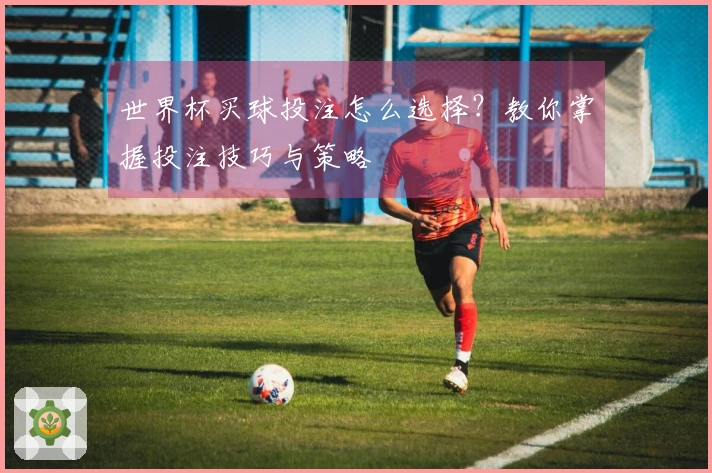 世界杯买球投注怎么选择？教你掌握投注技巧与策略