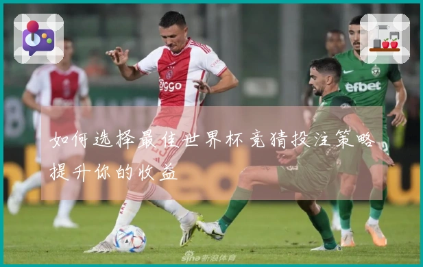 如何选择最佳世界杯竞猜投注策略提升你的收益