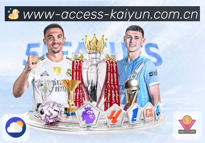 开云多入口稳定